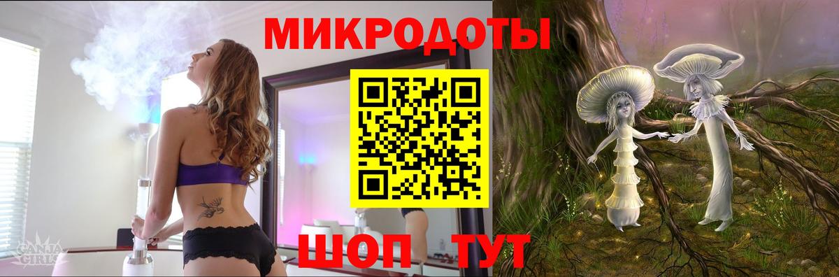 Псилоцибиновые грибы Psilocybe Махачкала