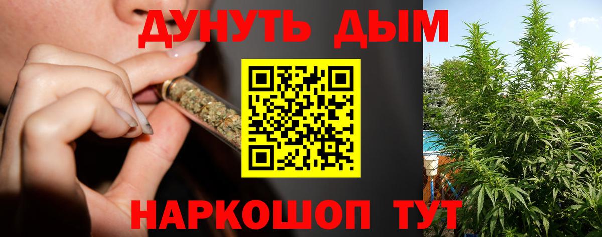 Махачкала  МАРИХУАНА семена  Марихуана тримм  Бошки марихуана планчик  Вход с VPN  Бошки Шишки Bruce Banner 